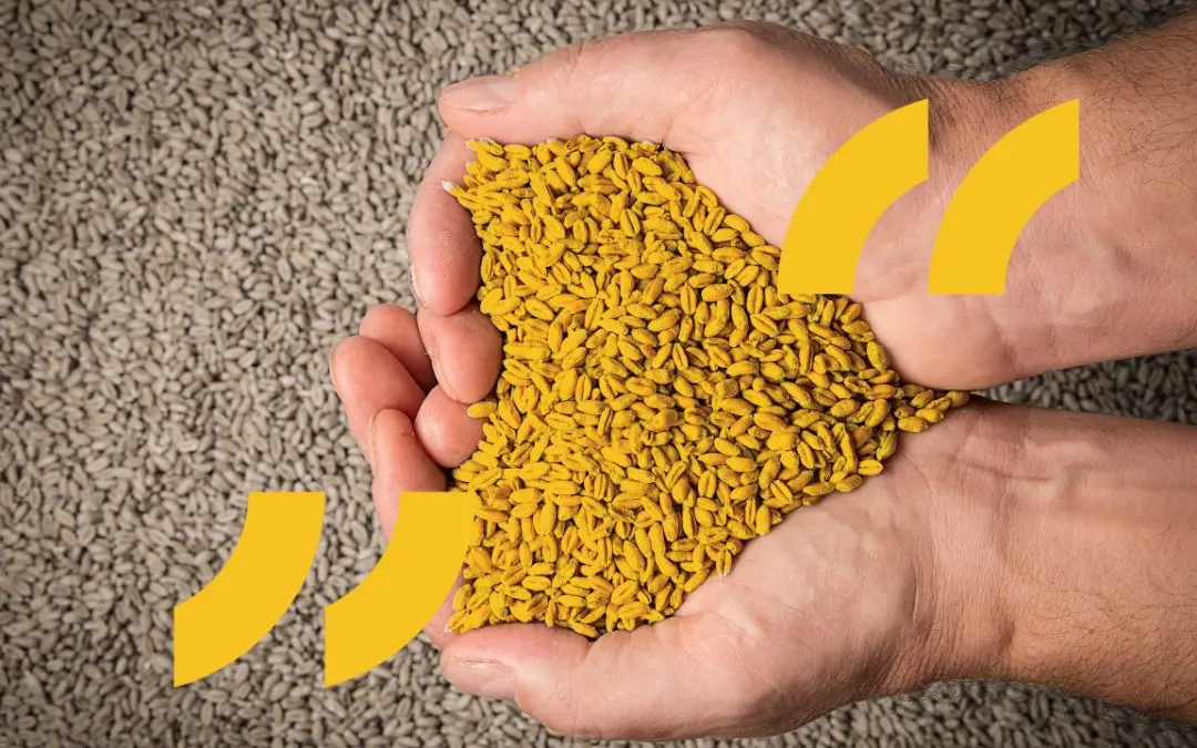 Logistics Industry Players in Europe: Help Ukraine Move Produce!